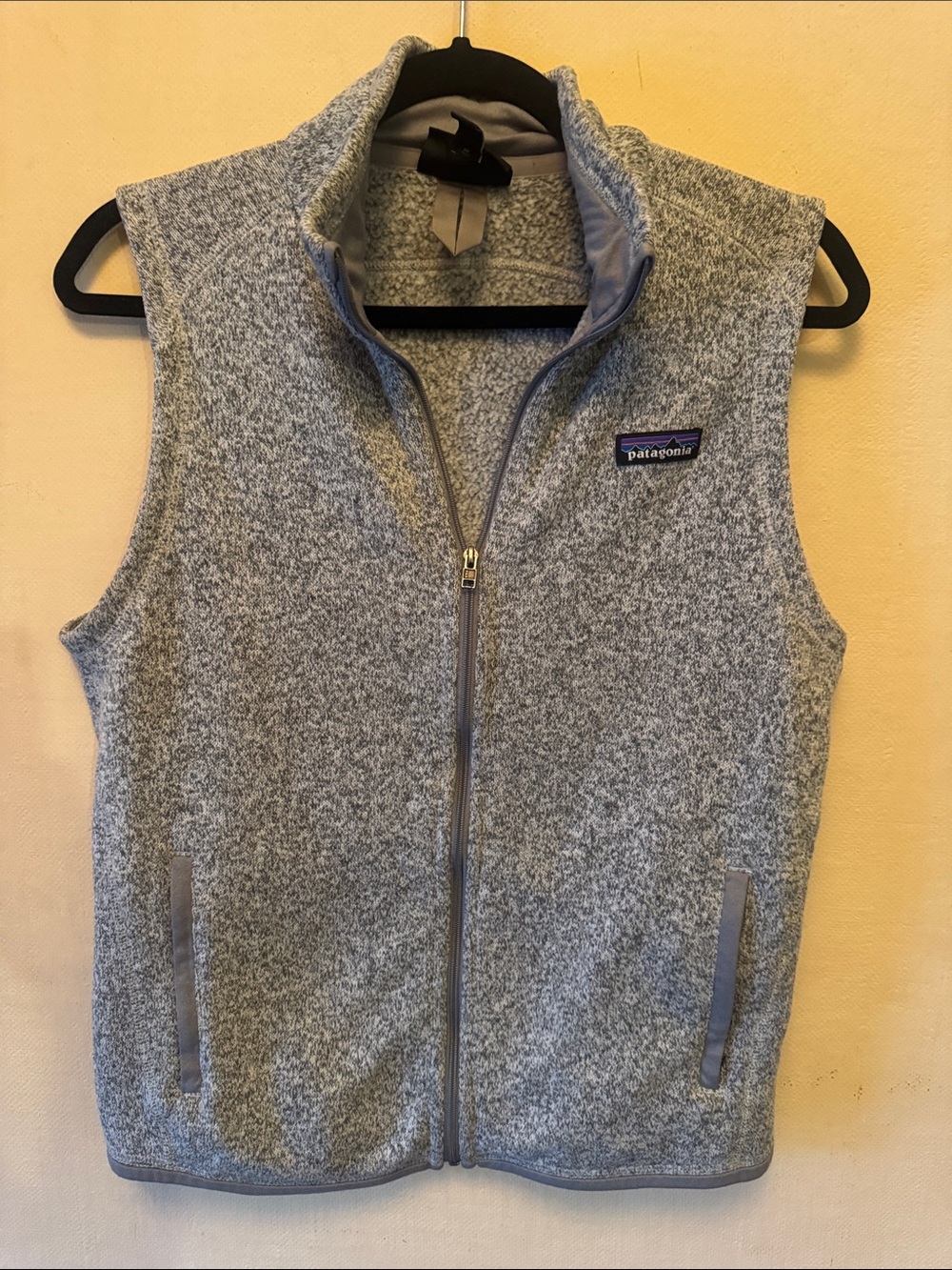 Patagonia Light Gray Heather Fleece Vest